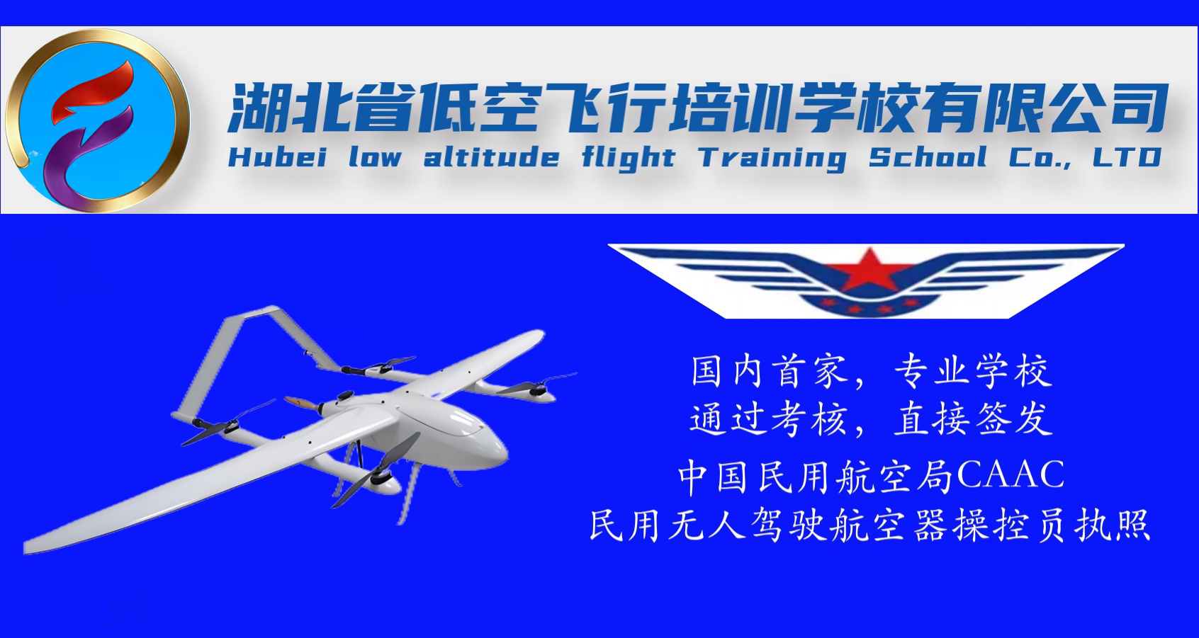 武创低空讲堂校徽